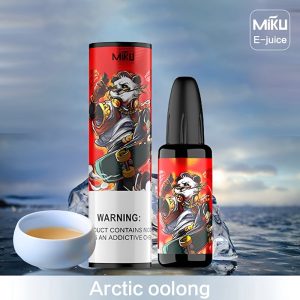Miku E-sú Artach Oolong #017